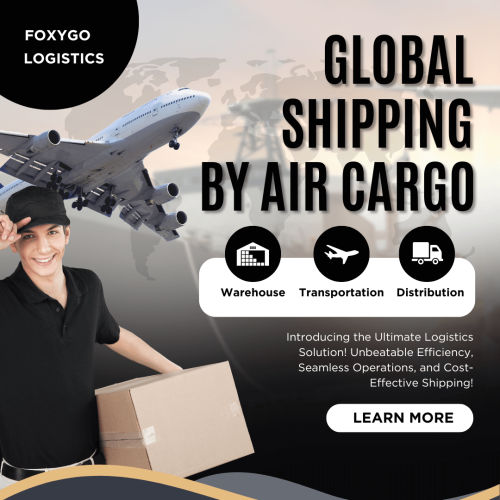 Black And White Modern Global Shipping Solution Instagram Post (1)